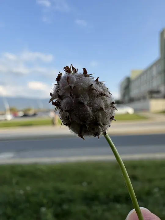 Nature field photograph