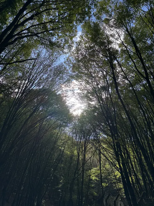 Landscape field photograph