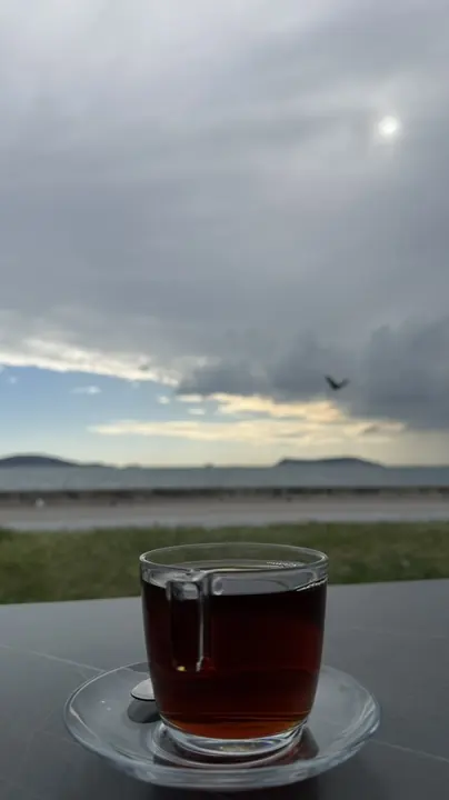Shore field frame