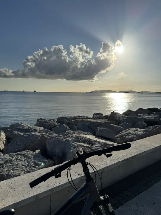 Shore field frame
