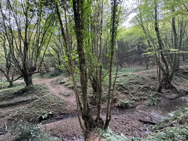 Terrain field frame