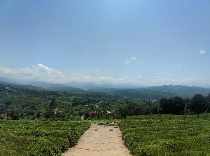 Terrain field frame