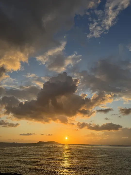 Coast field photograph