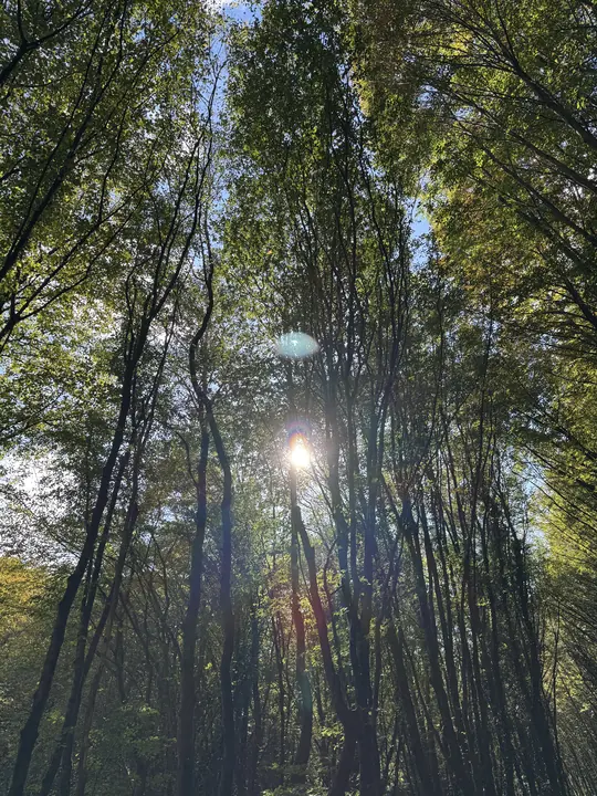 Landscape field photograph