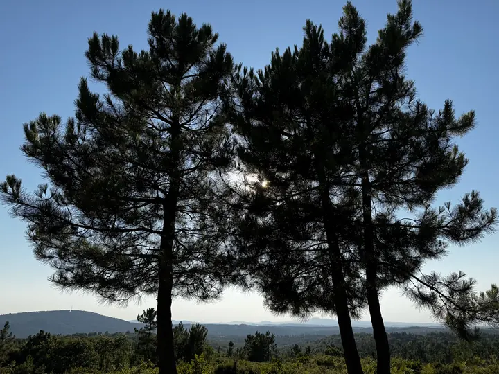 Landscape field photograph