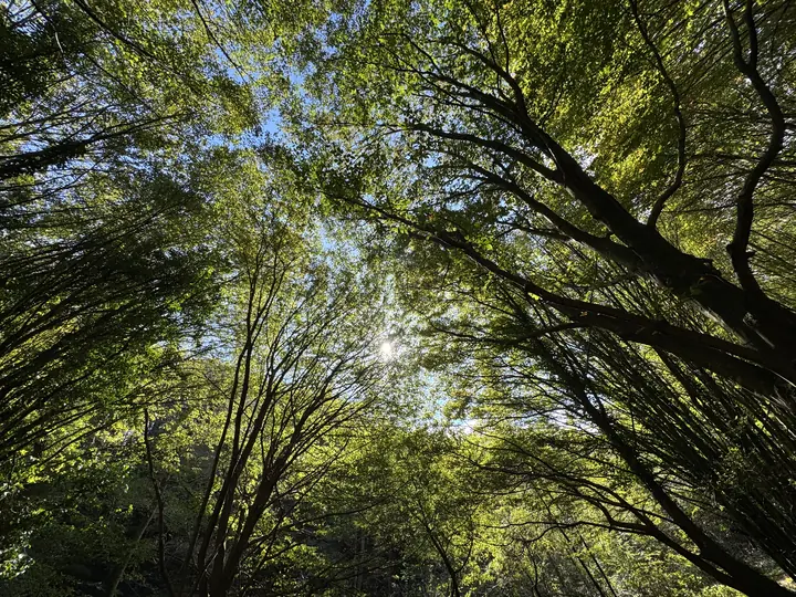 Landscape field photograph