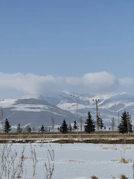 Landscape field photograph