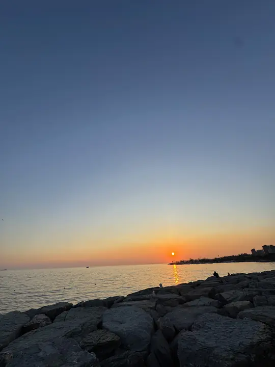 Coast field photograph
