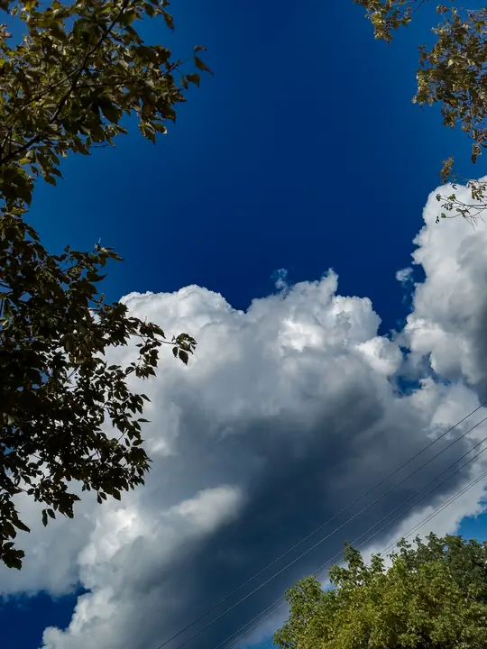 Nature field photograph