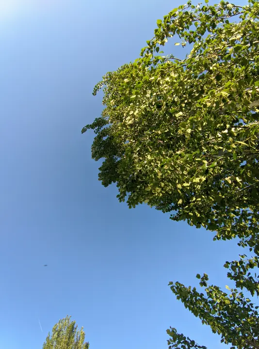 Nature field photograph