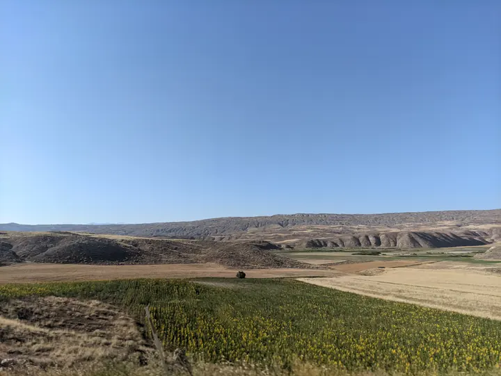 Landscape field photograph