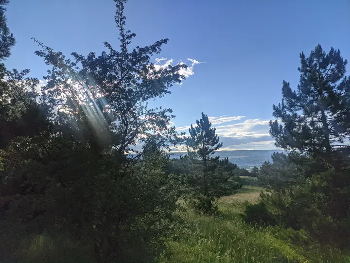 Landscape field photograph