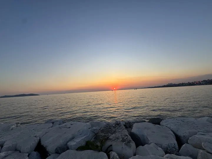 Coast field photograph