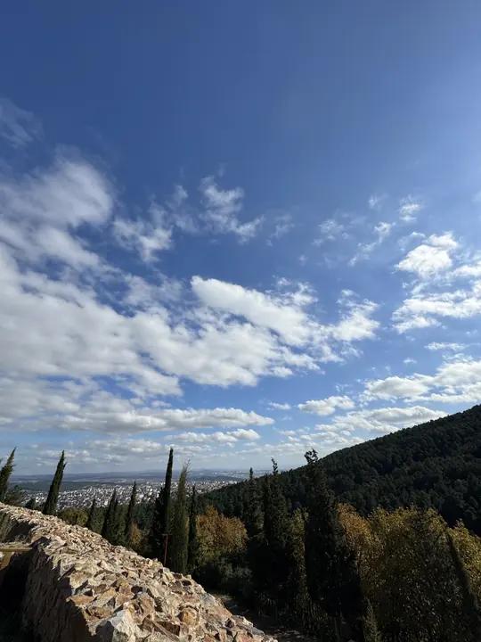 Landscape field photograph