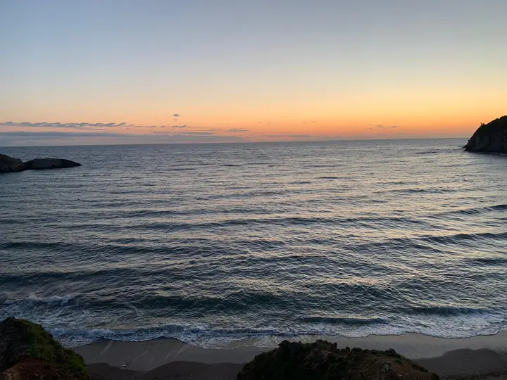 Coast field photograph