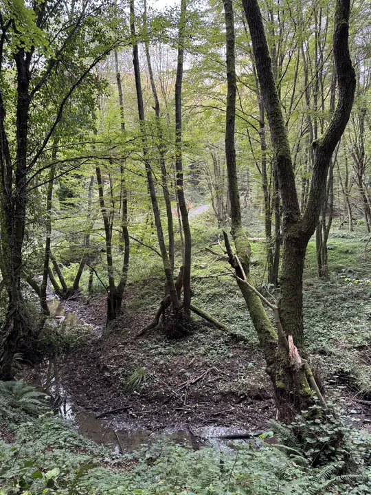 Coast field photograph