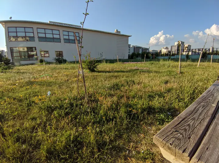 Landscape field photograph