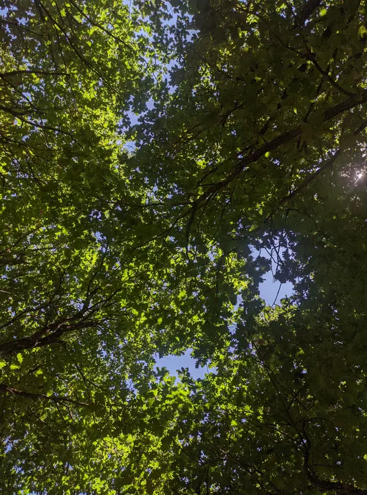 Landscape field photograph