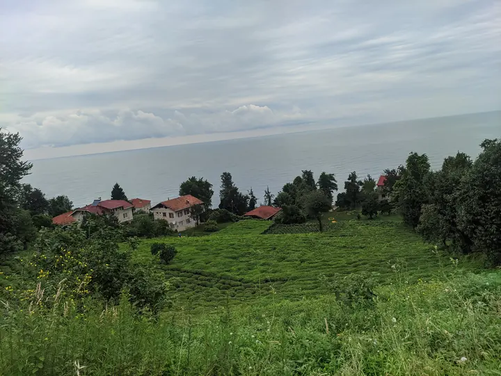 Coast field photograph