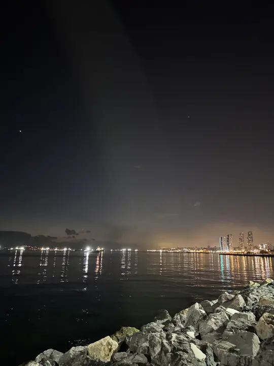 Coast field photograph