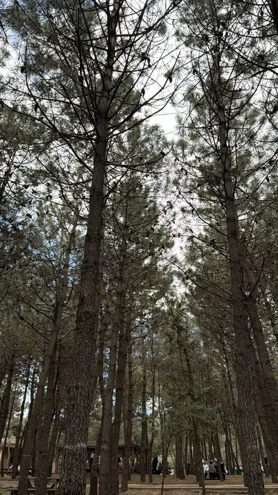 Landscape field photograph
