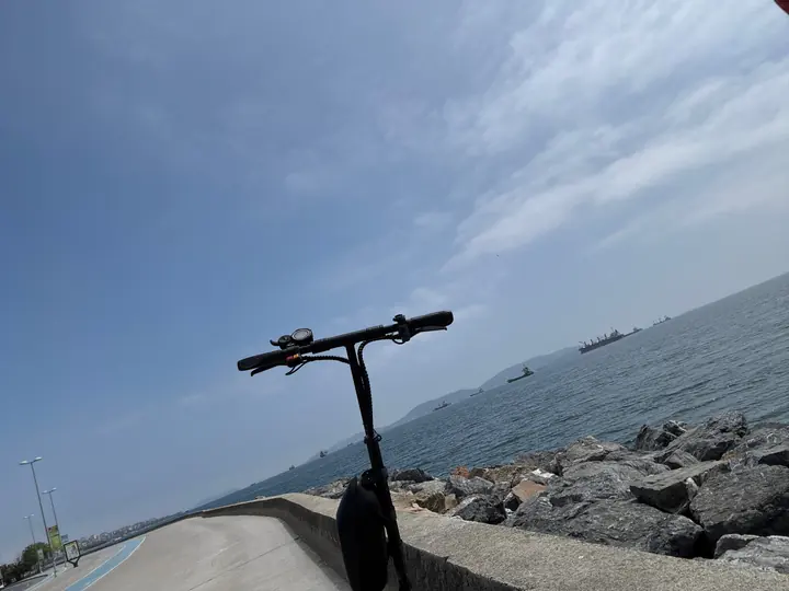 Coast field photograph
