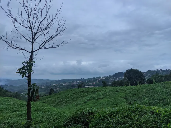 Landscape field photograph