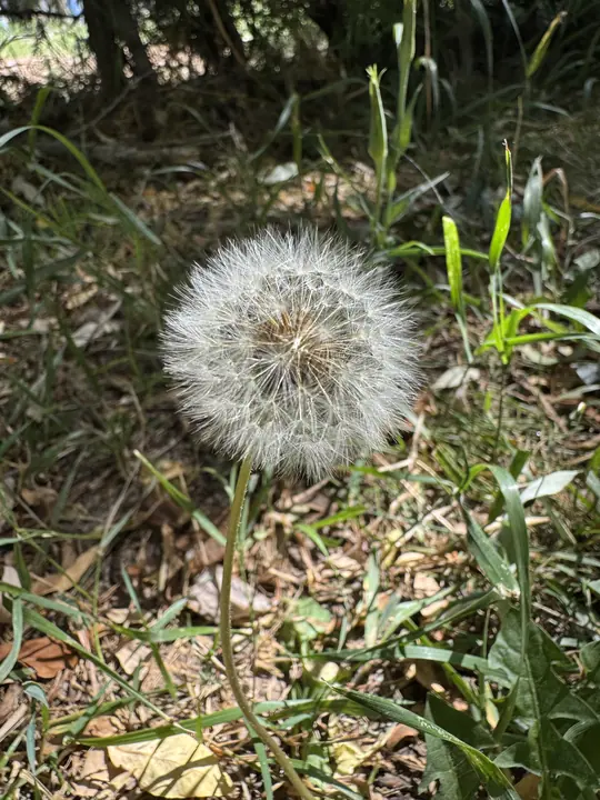 Nature field photograph