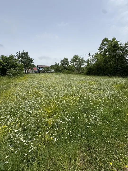 Landscape field photograph