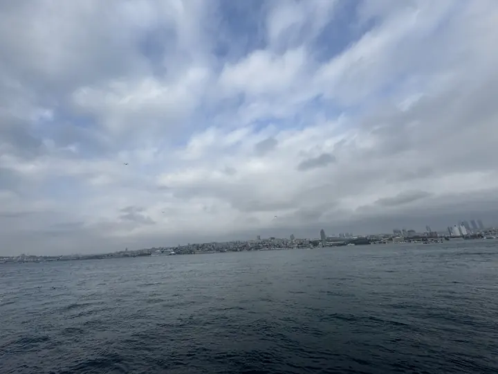 Coast field photograph