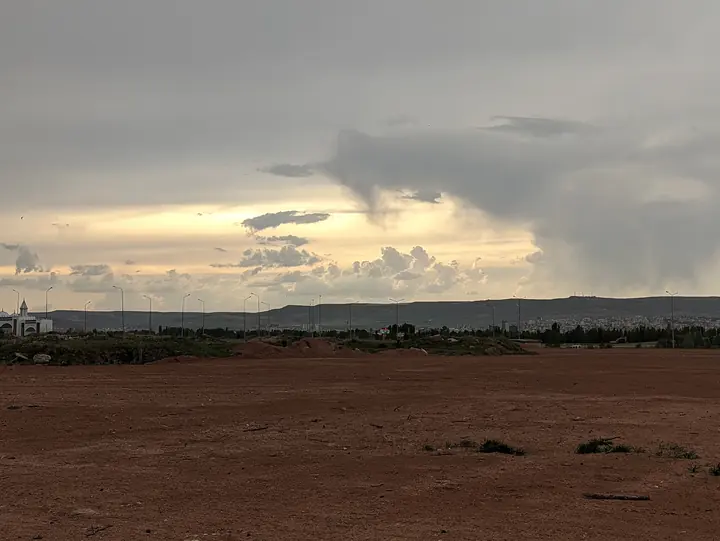 Landscape field photograph
