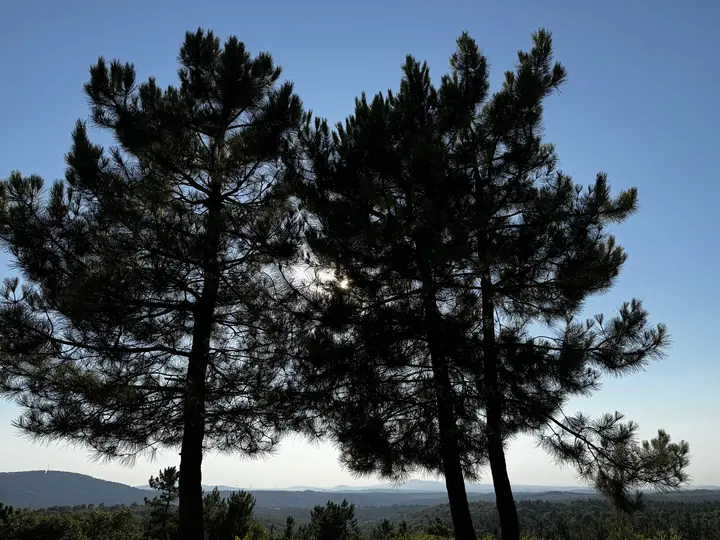 Nature field photograph