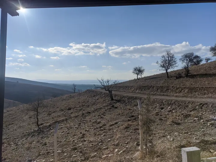 Landscape field photograph