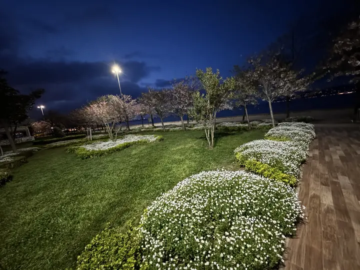 Nature field photograph