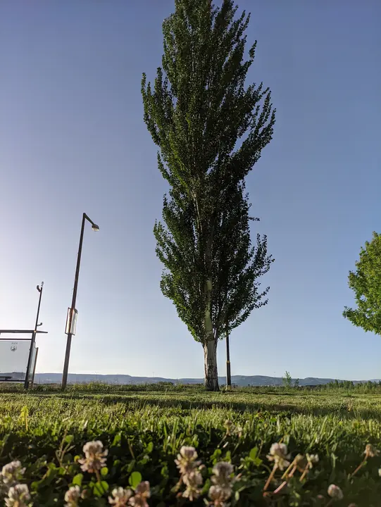 Nature field photograph