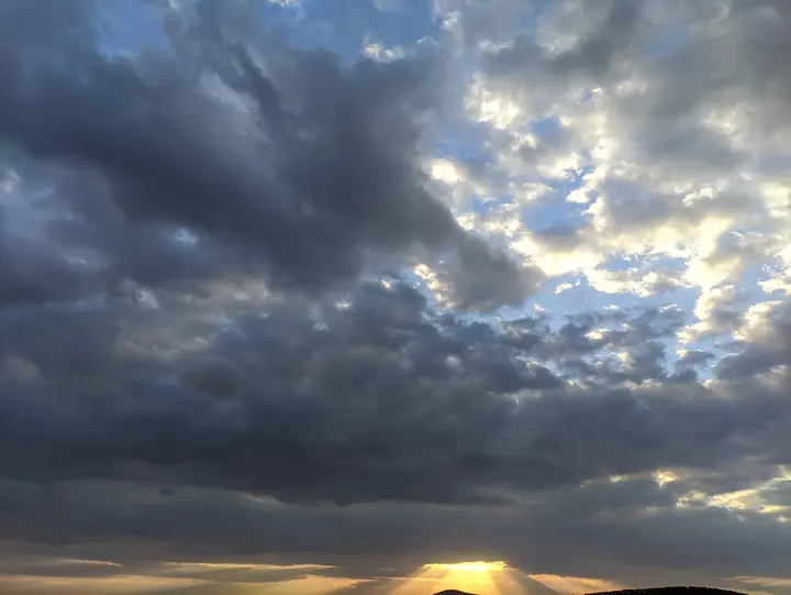 Landscape field photograph