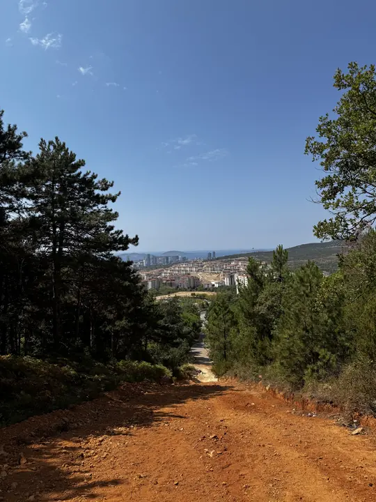 Landscape field photograph