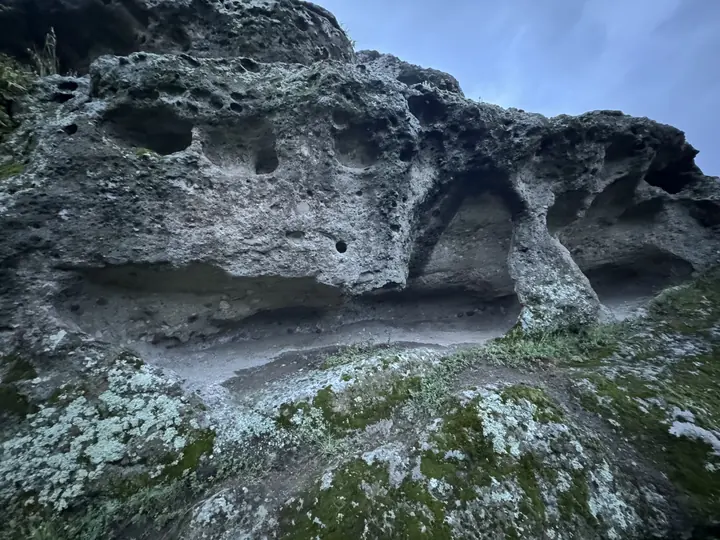 Nature field photograph