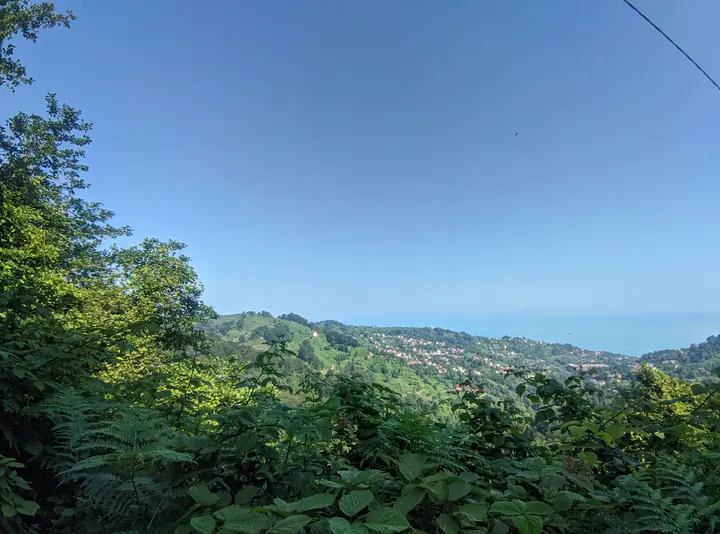 Landscape field photograph