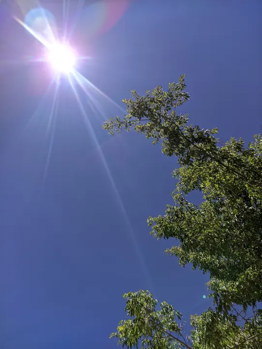 Nature field photograph